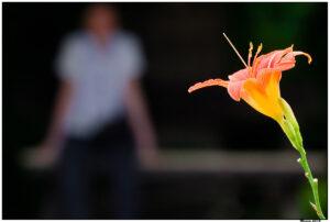 Foto: Marko Marković