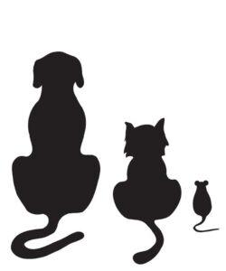 Foto: secretsales.com