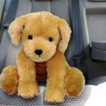 Foto: web.orange.co.uk