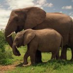 Foto: no.wikipedia.org