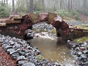 foto: athletewithstent.com