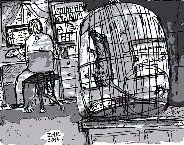 ž. a. r.  sami na izgubljenoj planeti