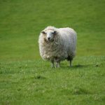 Foto: geograph.org.uk