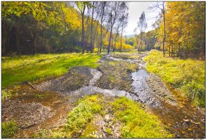 Foto: Marko Marković