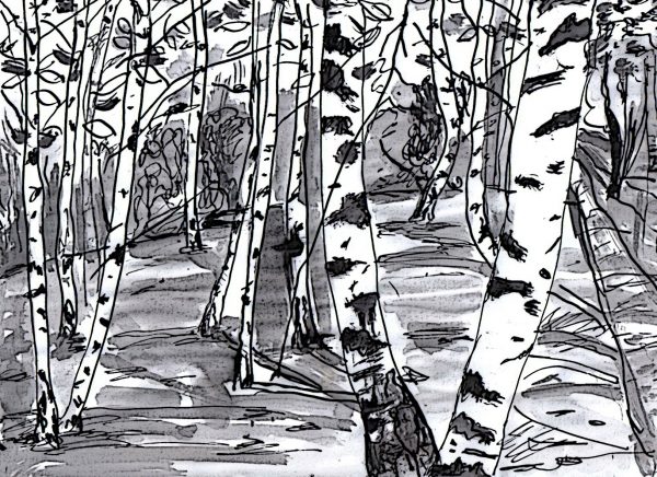 ž. a. r. "TIHO URANJAJU BOJE U BEZOBLIČJA STVARI"