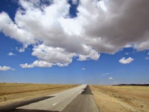  Foto: Snežana Radojičić