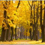 Foto: Marko Marković