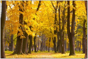 Foto: Marko Marković