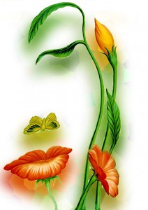 foto: sms-site.blogspot.com