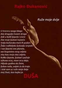 10857869_1587781018107339_8639863452119645057_n