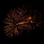 Foto: Neda Glišović