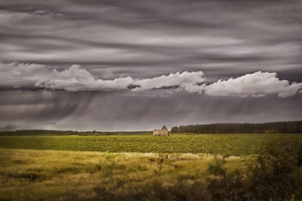 Ivana Todorovic- Pred kisu
