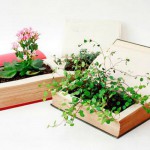 knjiga-alat-dekoracija_1404991509