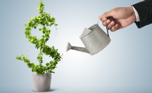 watering-green-plant-for-environment