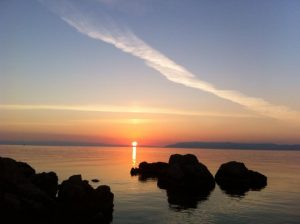 1414865_1420269511523233_1728526228_n