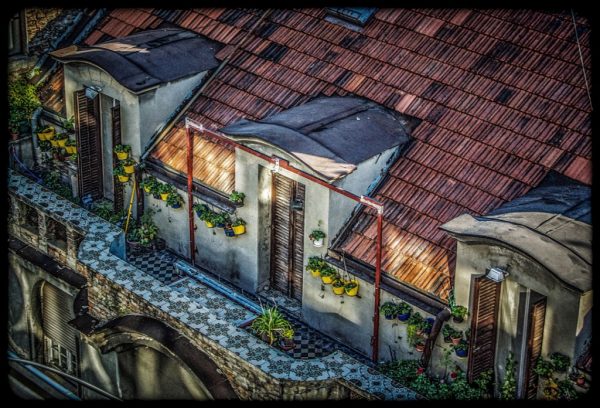 Foto: Jovana Kuzmanović