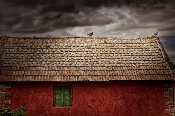 Foto: Ivana Todorović