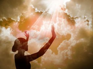 10347714_719091234865298_7375823361404047642_n