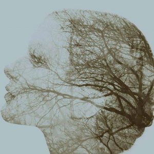 11064940_825782114157044_611563690412432807_n