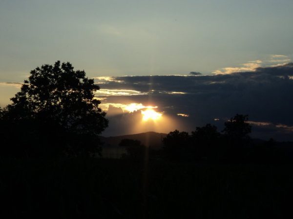 Foto: Želimir Lalić