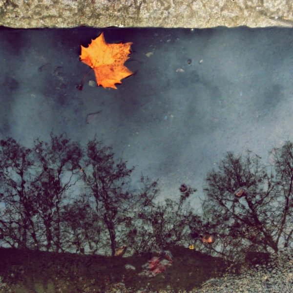 Foto: Ivana Todorović