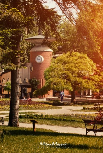 Foto: Milan Mitrović