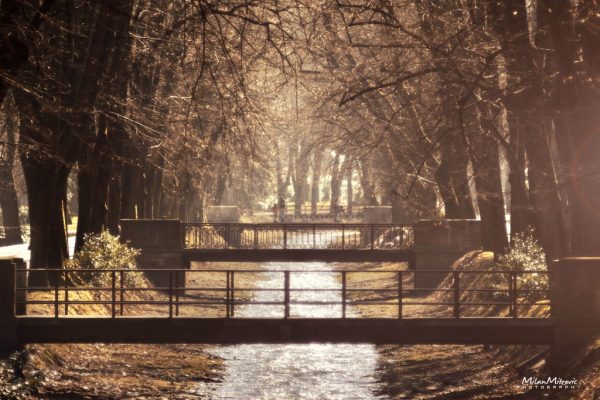 Foto: Milan Mitrović