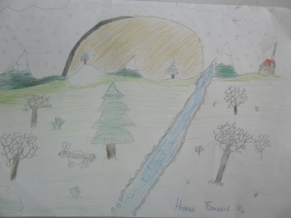 Nevena Đonović IV4