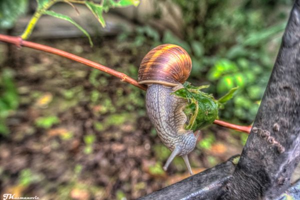 Foto: Jovana Kuzmanović