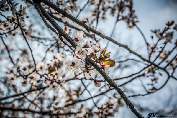 Foto: Jovana Kuzmanović