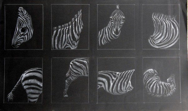 Црно бели свет