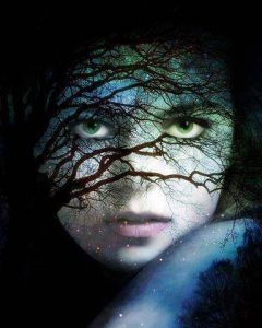 10250064_714167951980511_929356852039174271_n