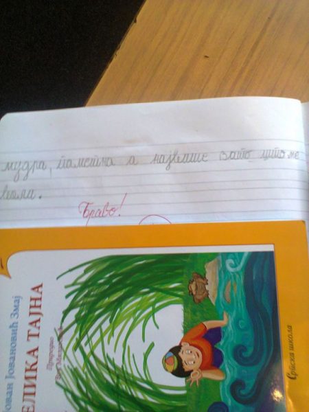 11355587_849082071832636_228371279_n