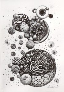 Autor: Jasmina Perović