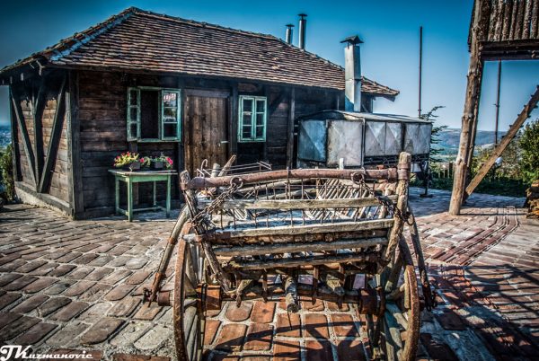 Foto: Jovana Kuzmanović