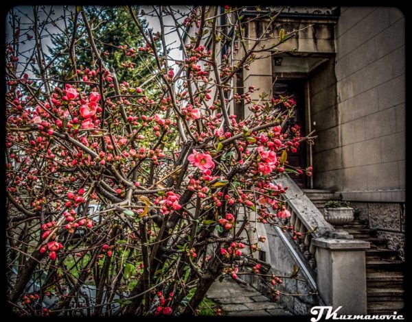 Foto: Jovana Kuzmanović