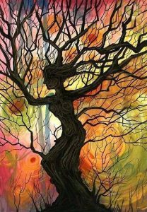 10628130_742770505791539_5947729575843579288_n