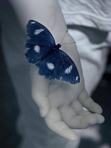 1530485_606860739387568_632732799_n