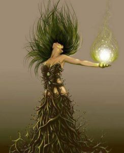 1654477_742075189194404_5233407149769357206_n