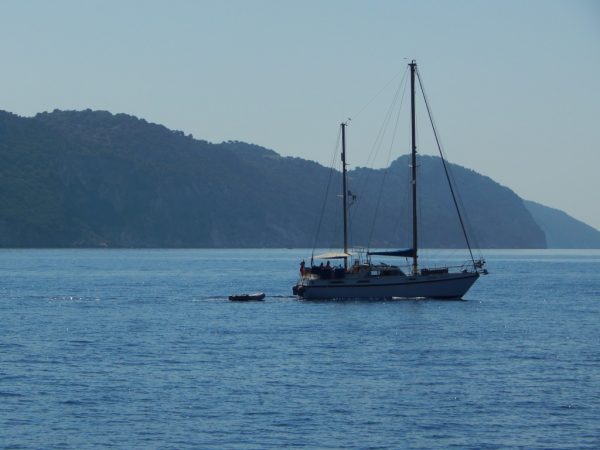 Foto: Neda Glišović