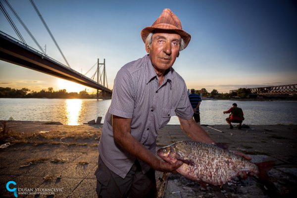 Foto: Dušan Stojančević