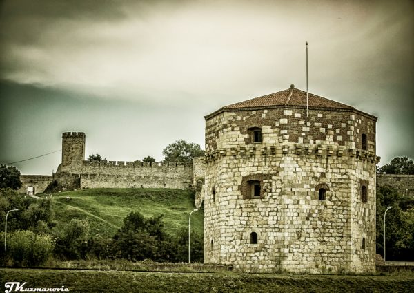 Foto: Jovana Kuzmanović