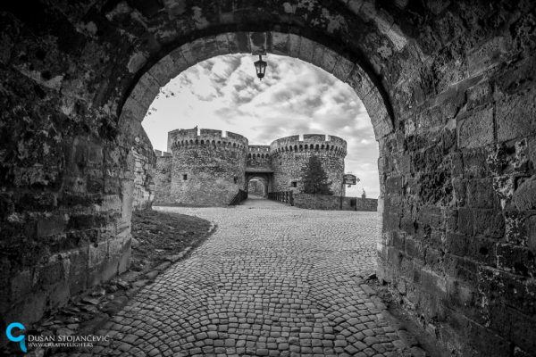 Foto: Dušan Stojančević