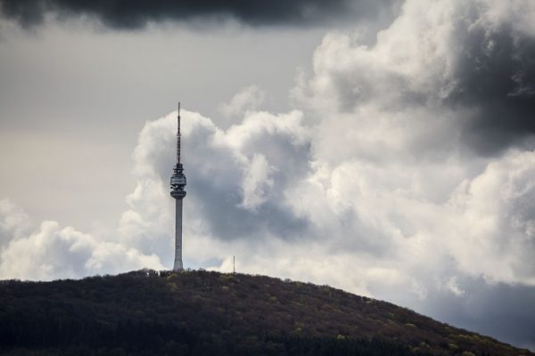 Foto: Dušan Stojančević