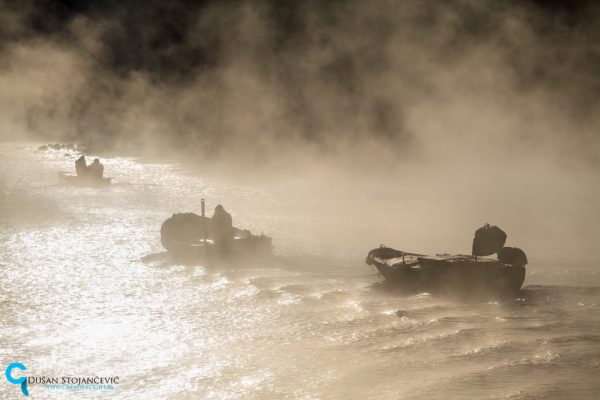 Foto: Dušan Stojančević