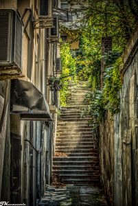 Foto: Jovana Kuzmanović