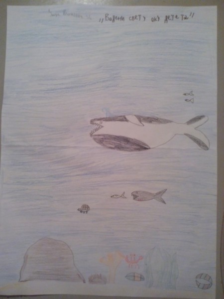 Đorđe Ivanović III2