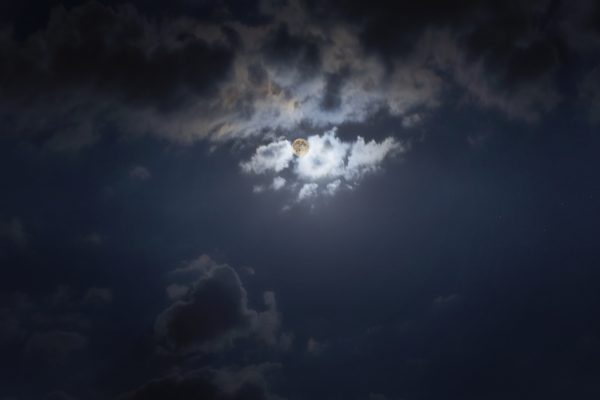 Foto: Ivana Todorović