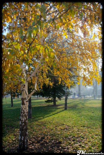 Foto: Jovana Kuzmanović