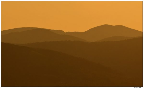 Foto: Marko Marković